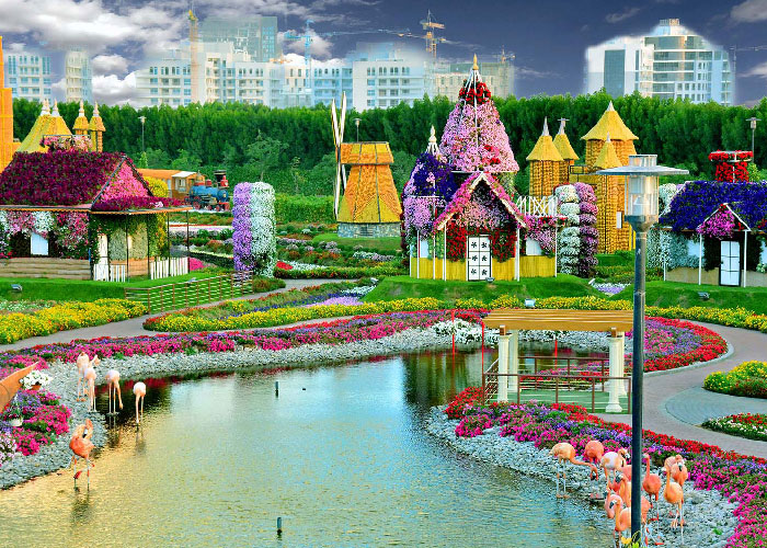 Miracle Garden